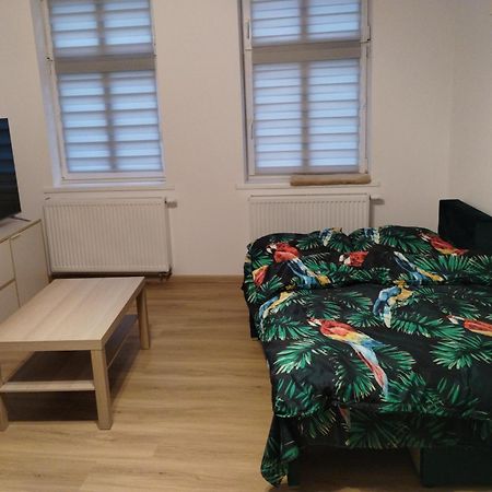 두슈니키 즈드로지 Apartament Tereska 아파트 외부 사진